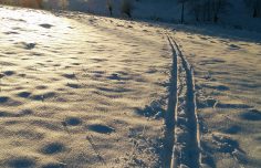 Upcoming workshop:  IASC “Cutting barriers in snow knowledge”