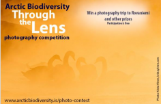 DEADLINE EXTENDED FOR ARCTIC BIODIVERSITY PHOTOGRAPHY COMPETITION