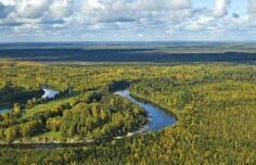 Webinar on Siberia and environmental change 16th November